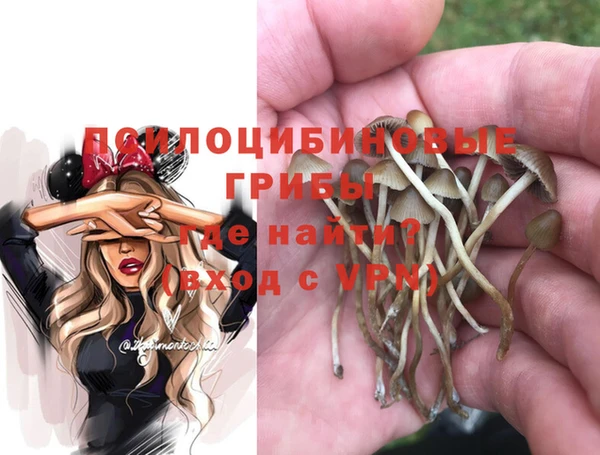 прущая мука Алзамай