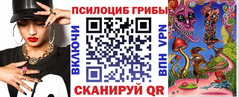 Купить где  Видное  Галлюциногенные грибы Psilocybe 