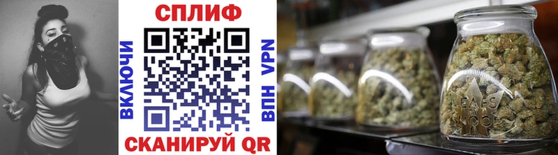 Каннабис сатива  Купить  Видное 